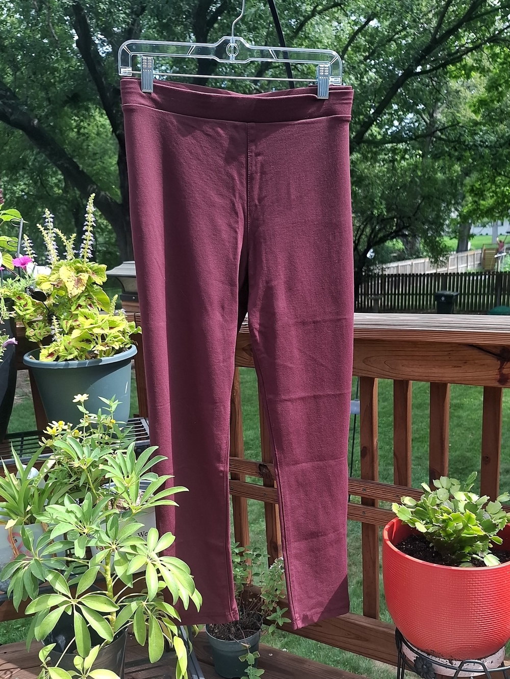 a.n.a  Burgundy Leggings Sz XXL